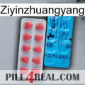 Ziyinzhuangyang new14